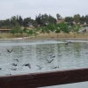 Παρέμβαση της Κοινότητας στο Περιβαλλοντικό Πάρκο «Αντώνης Τρίτσης» στο Ίλιον