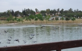 Παρέμβαση της Κοινότητας στο Περιβαλλοντικό Πάρκο «Αντώνης Τρίτσης» στο Ίλιον